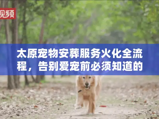 太原宠物安葬服务火化全流程，告别爱宠前必须知道的3个关键细节