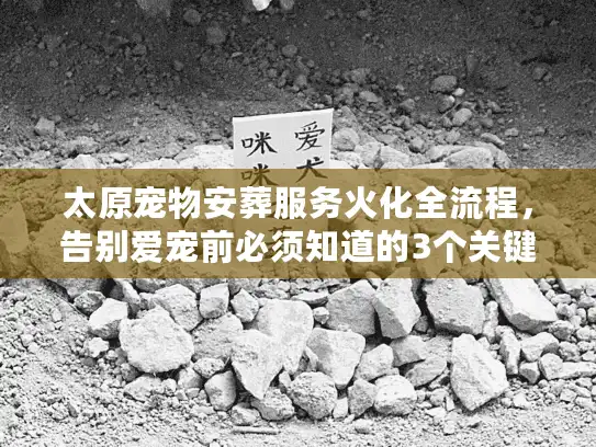 太原宠物安葬服务火化全流程，告别爱宠前必须知道的3个关键细节