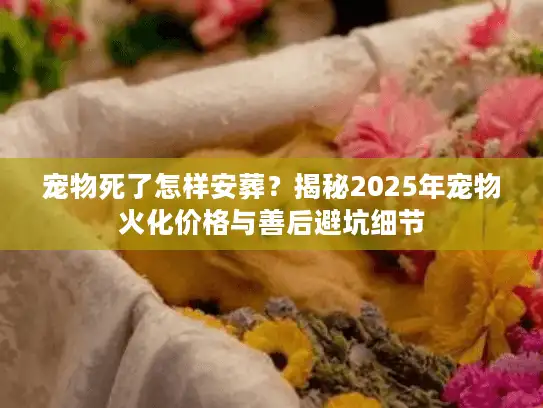 宠物死了怎样安葬？揭秘2025年宠物火化价格与善后避坑细节