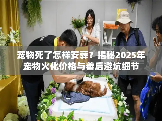 宠物死了怎样安葬？揭秘2025年宠物火化价格与善后避坑细节
