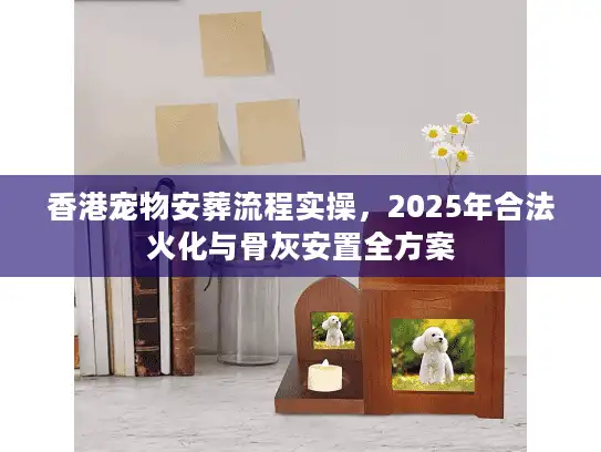香港宠物安葬流程实操，2025年合法火化与骨灰安置全方案
