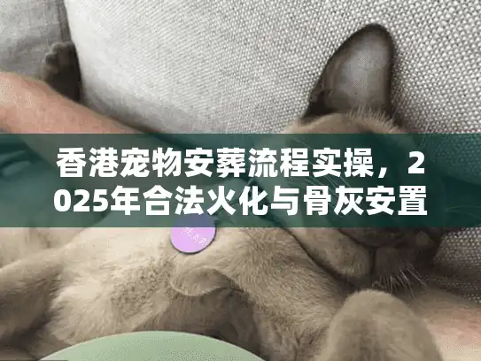香港宠物安葬流程实操，2025年合法火化与骨灰安置全方案