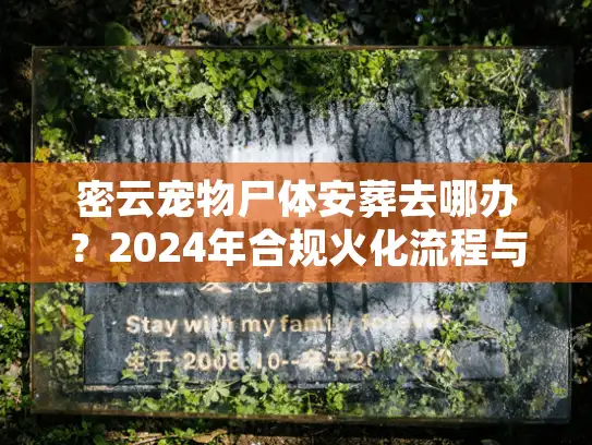 密云宠物尸体安葬去哪办？2024年合规火化流程与价格揭秘