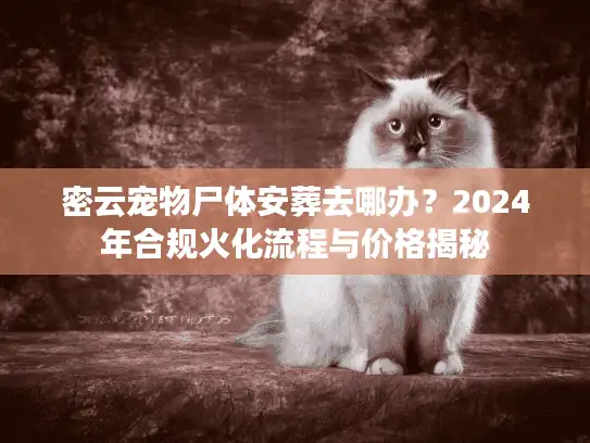 密云宠物尸体安葬去哪办？2024年合规火化流程与价格揭秘