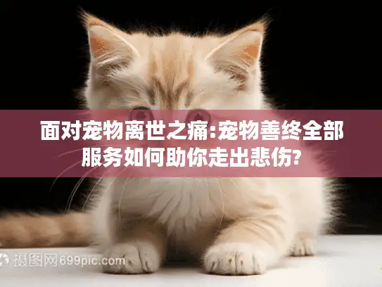 面对宠物离世之痛:宠物善终全部服务如何助你走出悲伤?
