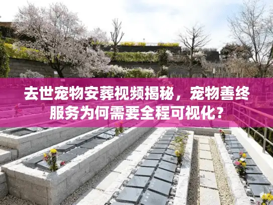 去世宠物安葬视频揭秘，宠物善终服务为何需要全程可视化？