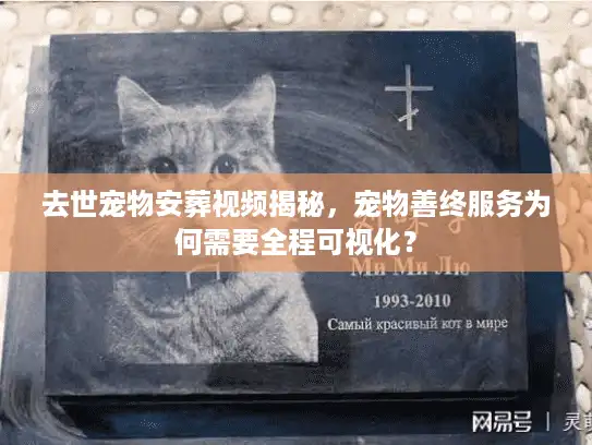 去世宠物安葬视频揭秘，宠物善终服务为何需要全程可视化？