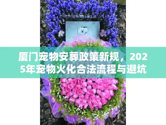 厦门宠物安葬政策新规，2025年宠物火化合法流程与避坑