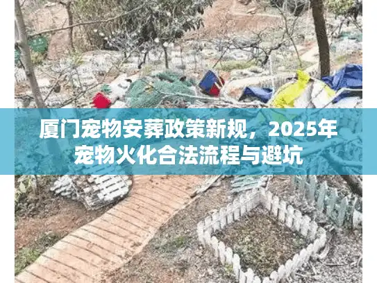 厦门宠物安葬政策新规，2025年宠物火化合法流程与避坑