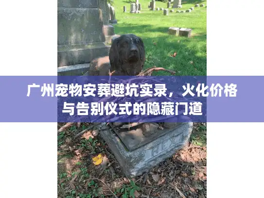 广州宠物安葬避坑实录，火化价格与告别仪式的隐藏门道