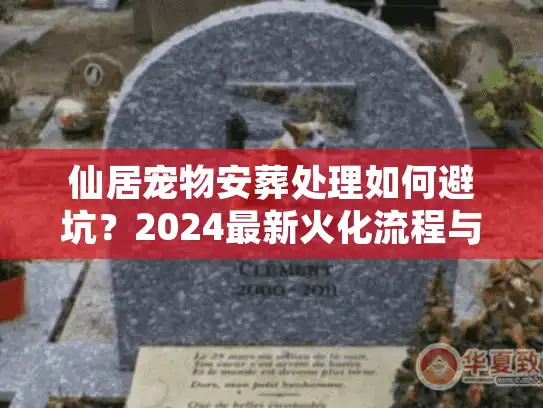 仙居宠物安葬处理如何避坑？2024最新火化流程与费用揭秘