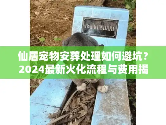 仙居宠物安葬处理如何避坑？2024最新火化流程与费用揭秘