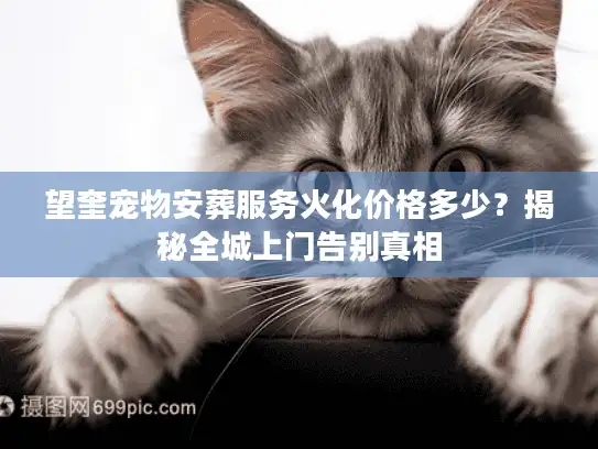望奎宠物安葬服务火化价格多少？揭秘全城上门告别真相