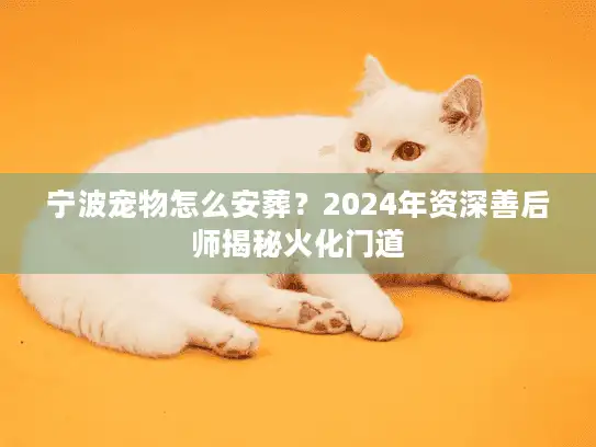 宁波宠物怎么安葬？2024年资深善后师揭秘火化门道