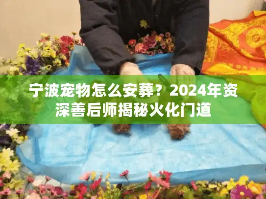 宁波宠物怎么安葬？2024年资深善后师揭秘火化门道