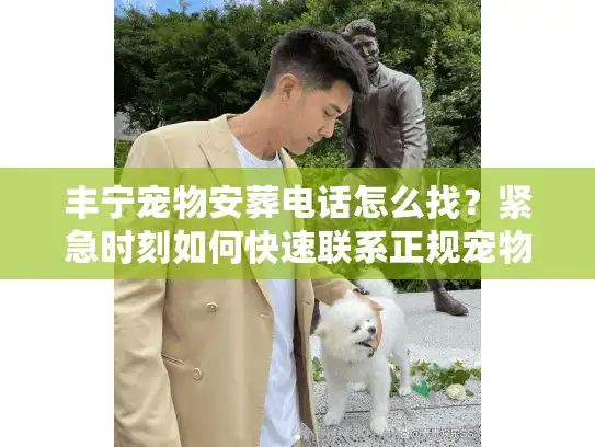 丰宁宠物安葬电话怎么找？紧急时刻如何快速联系正规宠物善后