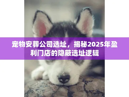 宠物安葬公司选址，揭秘2025年盈利门店的隐蔽选址逻辑