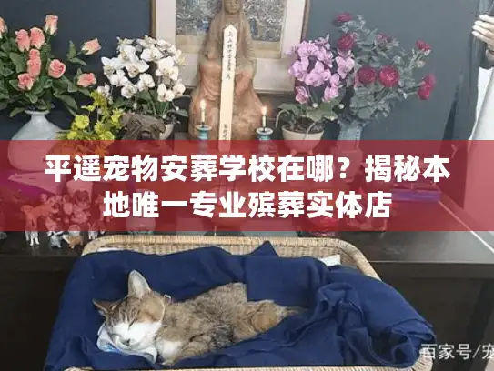 平遥宠物安葬学校在哪？揭秘本地唯一专业殡葬实体店