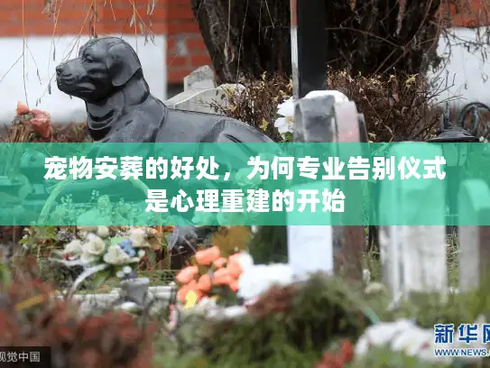 宠物安葬的好处，为何专业告别仪式是心理重建的开始
