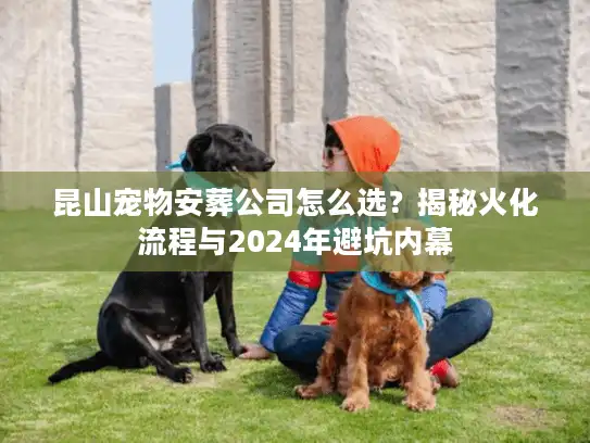 昆山宠物安葬公司怎么选？揭秘火化流程与2024年避坑内幕