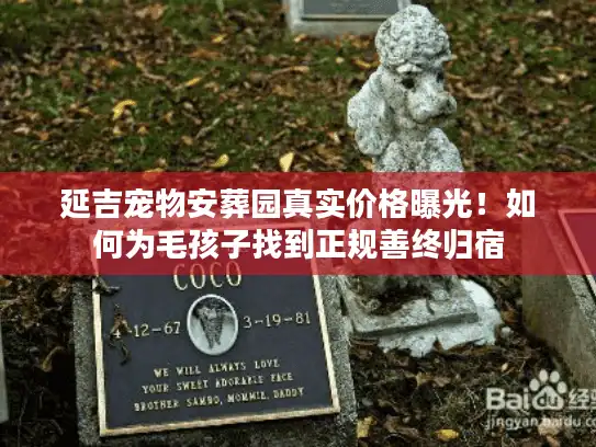 延吉宠物安葬园真实价格曝光！如何为毛孩子找到正规善终归宿