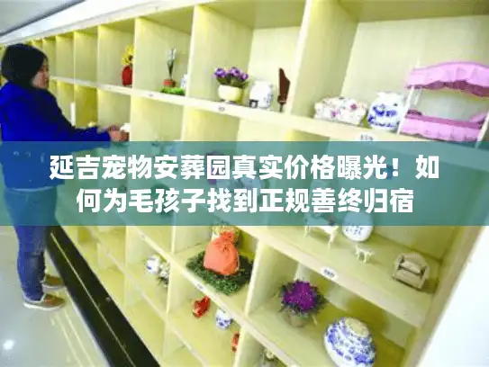 延吉宠物安葬园真实价格曝光！如何为毛孩子找到正规善终归宿