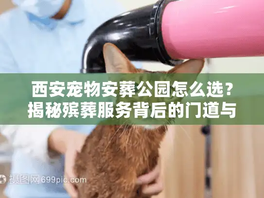 西安宠物安葬公园怎么选？揭秘殡葬服务背后的门道与避坑