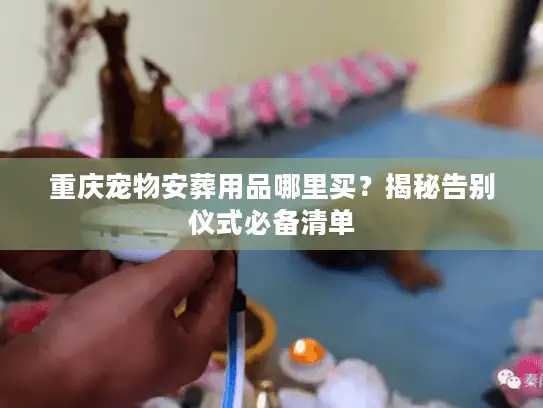 重庆宠物安葬用品哪里买？揭秘告别仪式必备清单