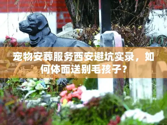 宠物安葬服务西安避坑实录，如何体面送别毛孩子？