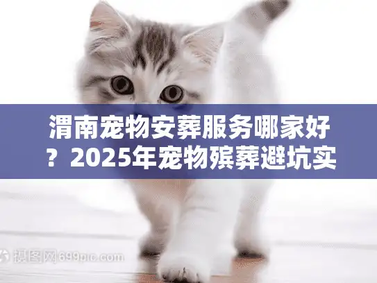 渭南宠物安葬服务哪家好？2025年宠物殡葬避坑实录