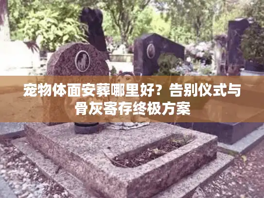宠物体面安葬哪里好？告别仪式与骨灰寄存终极方案