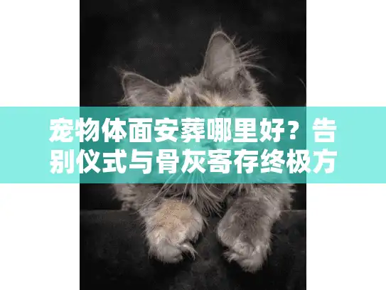 宠物体面安葬哪里好？告别仪式与骨灰寄存终极方案