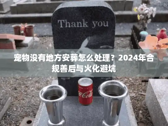宠物没有地方安葬怎么处理？2024年合规善后与火化避坑