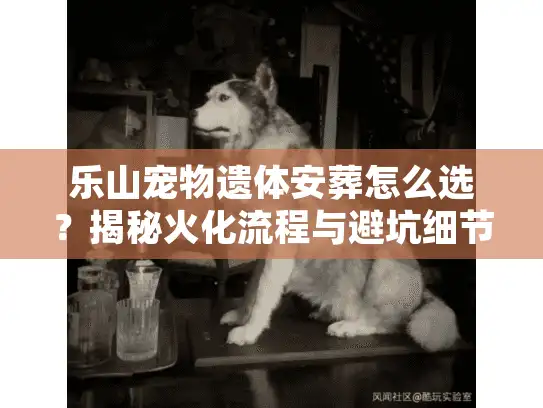 乐山宠物遗体安葬怎么选？揭秘火化流程与避坑细节