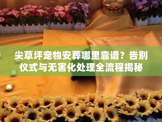 尖草坪宠物安葬哪里靠谱？告别仪式与无害化处理全流程揭秘