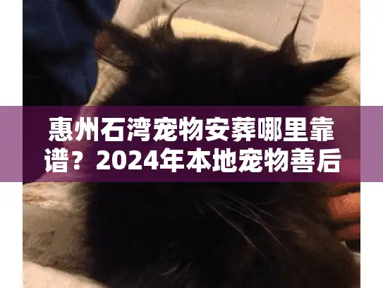 惠州石湾宠物安葬哪里靠谱？2024年本地宠物善后避坑实录