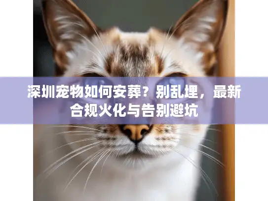 深圳宠物如何安葬？别乱埋，最新合规火化与告别避坑