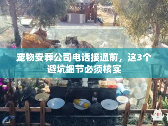 宠物安葬公司电话接通前，这3个避坑细节必须核实