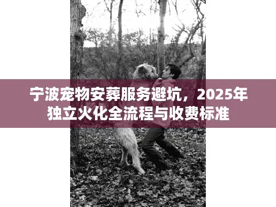 宁波宠物安葬服务避坑，2025年独立火化全流程与收费标准