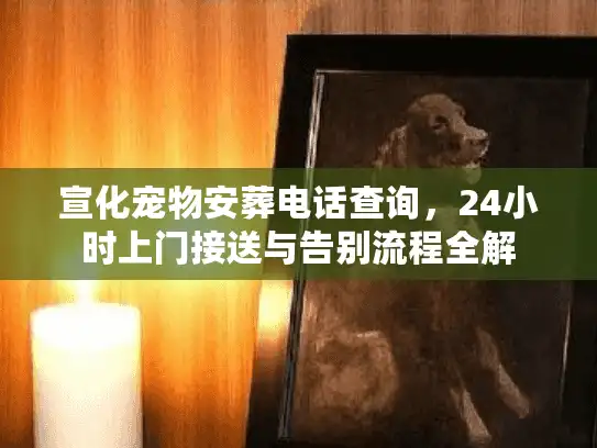 宣化宠物安葬电话查询，24小时上门接送与告别流程全解