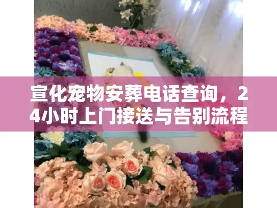 宣化宠物安葬电话查询，24小时上门接送与告别流程全解