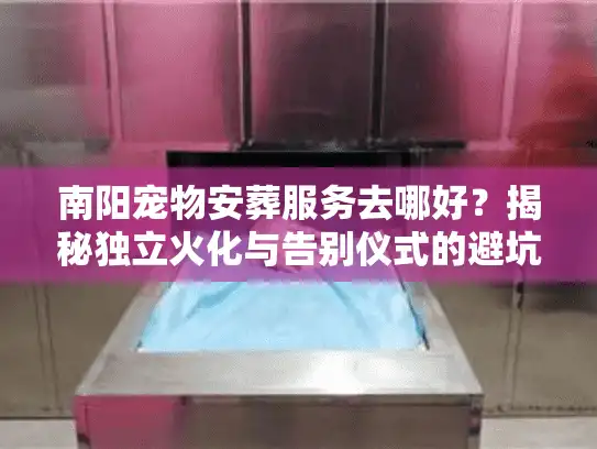 南阳宠物安葬服务去哪好？揭秘独立火化与告别仪式的避坑门道