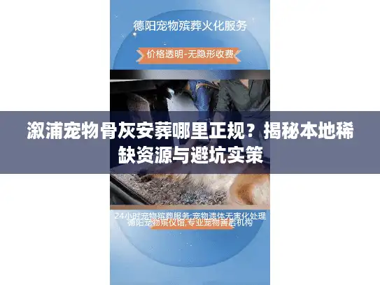 溆浦宠物骨灰安葬哪里正规？揭秘本地稀缺资源与避坑实策
