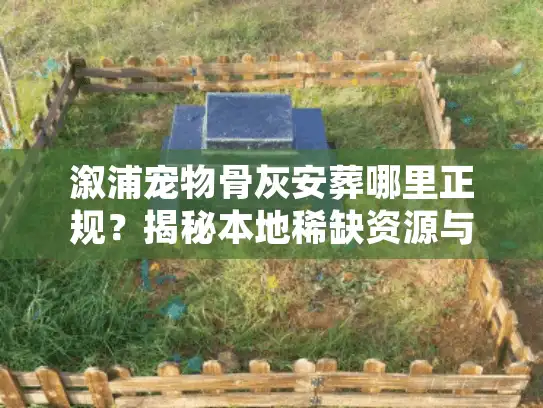 溆浦宠物骨灰安葬哪里正规？揭秘本地稀缺资源与避坑实策
