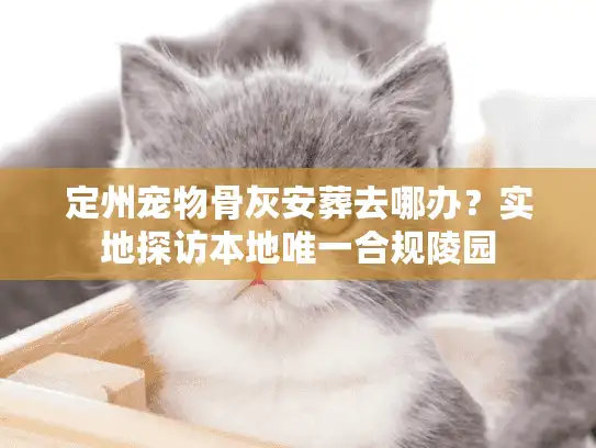 定州宠物骨灰安葬去哪办？实地探访本地唯一合规陵园