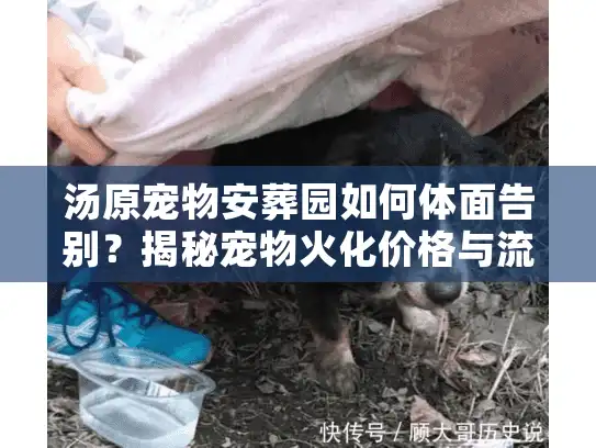汤原宠物安葬园如何体面告别？揭秘宠物火化价格与流程