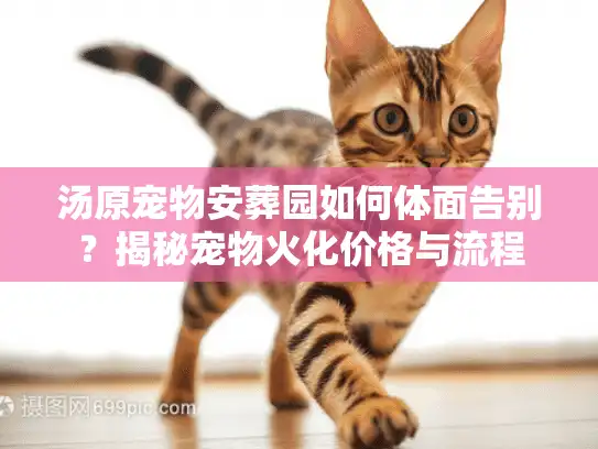 汤原宠物安葬园如何体面告别？揭秘宠物火化价格与流程