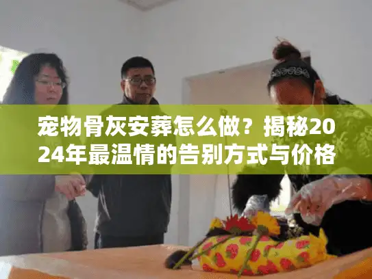 宠物骨灰安葬怎么做？揭秘2024年最温情的告别方式与价格内幕