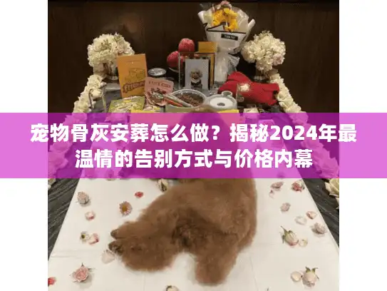 宠物骨灰安葬怎么做？揭秘2024年最温情的告别方式与价格内幕
