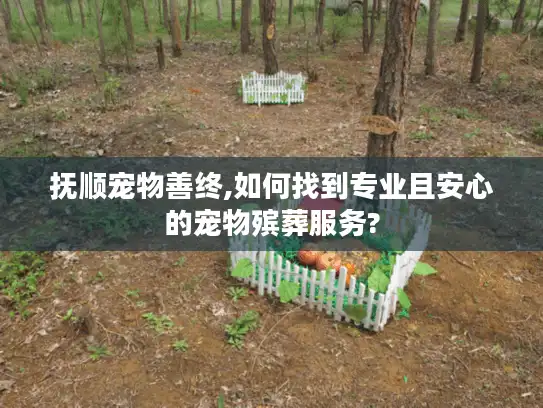 抚顺宠物善终,如何找到专业且安心的宠物殡葬服务?